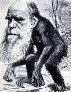 Darwin Mono