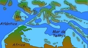 Mar de Tetis