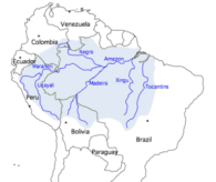 Cuenca del Amazonas